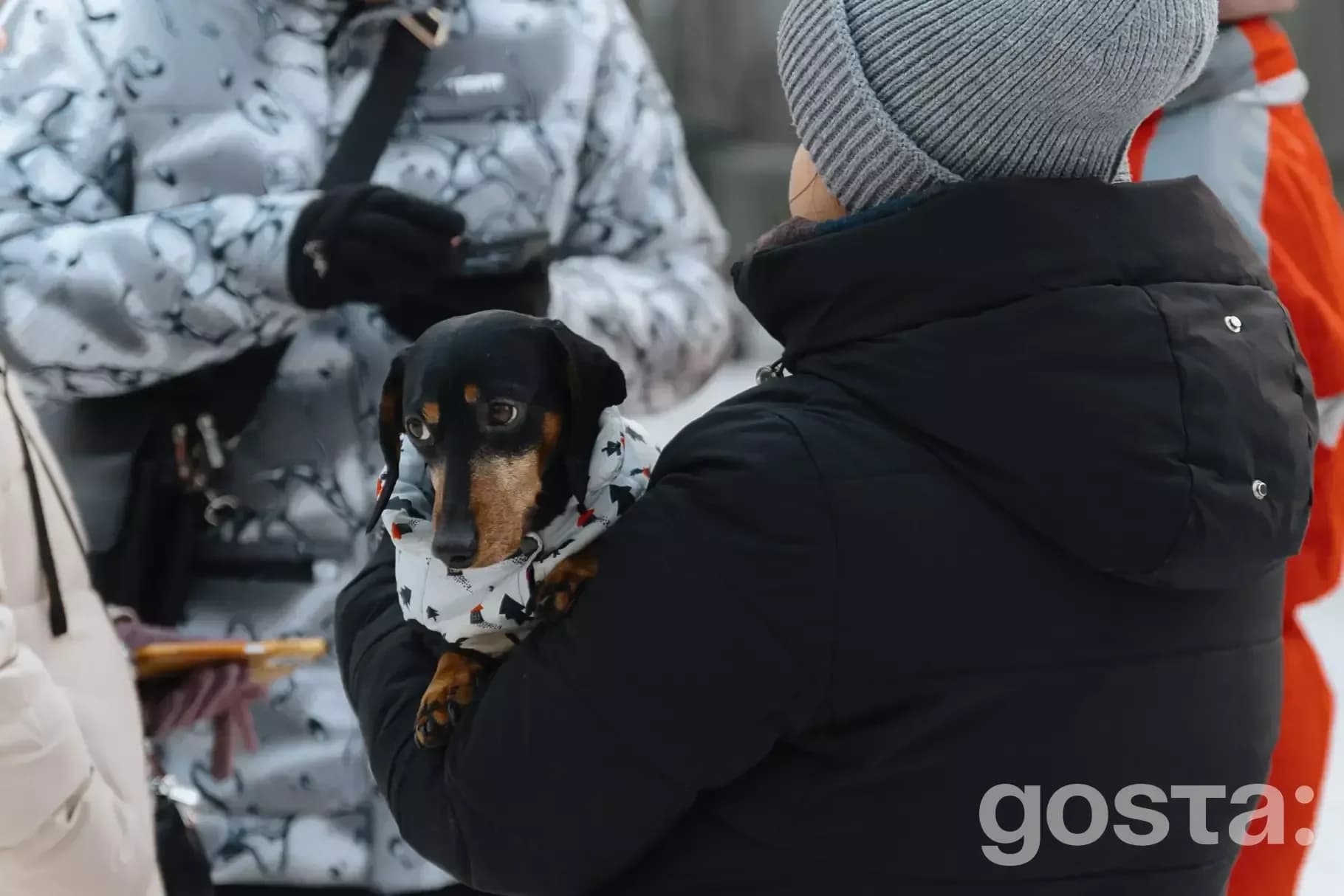 Люди в зимовому одязі тримають собаку в теплій кофті на фоні наметового містечка на Троєщині.