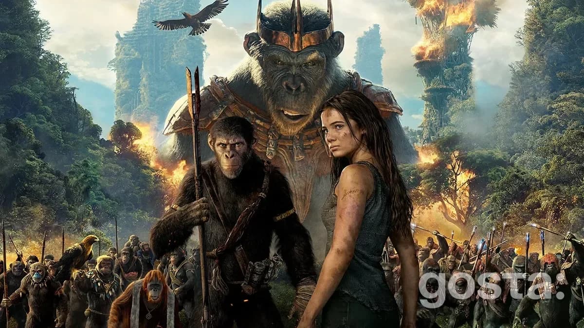 Top 10 action movies 2024