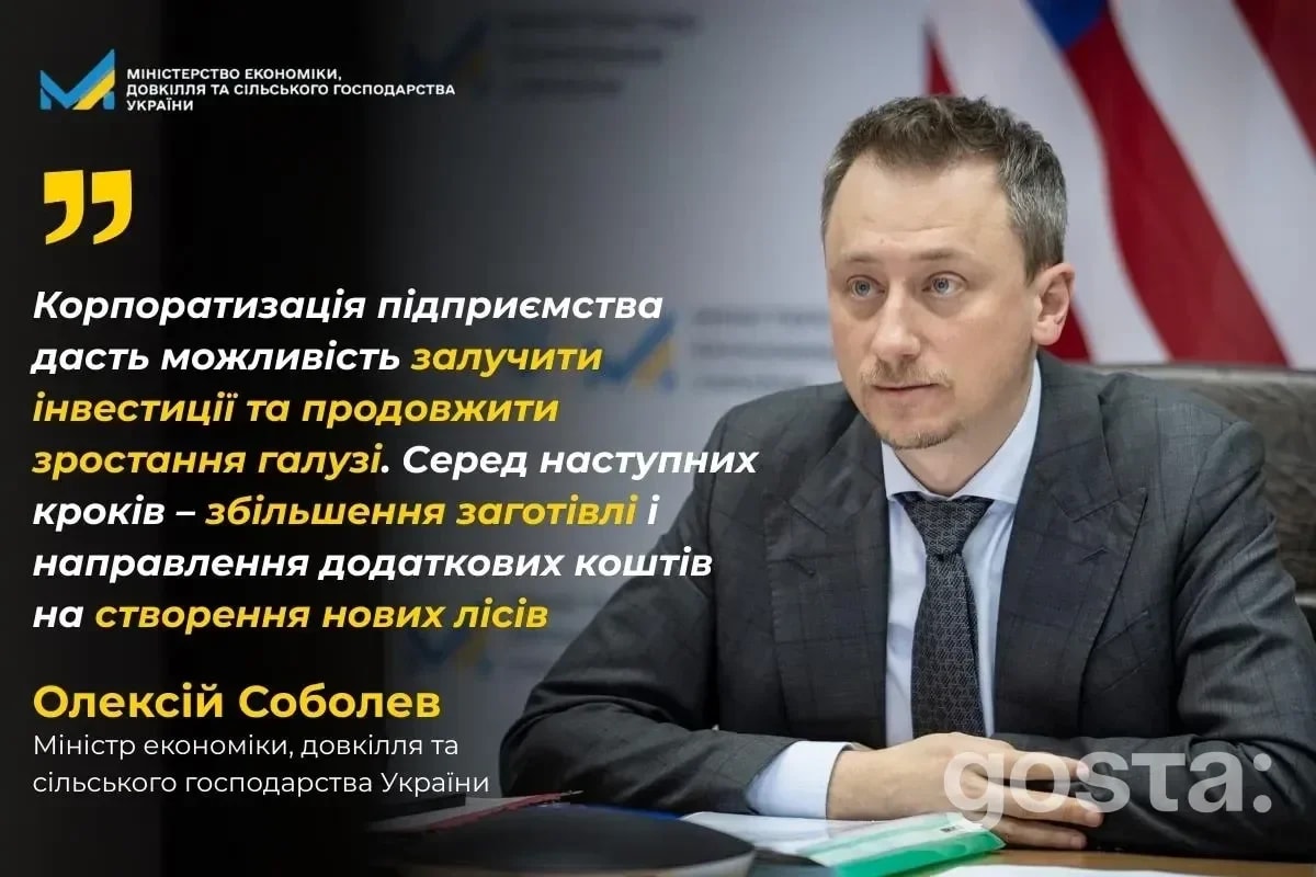 Ліси під новими правилами: коли стартує корпоратизація «Лісів України» і навіщо збільшують заготівлю до 2028 року?