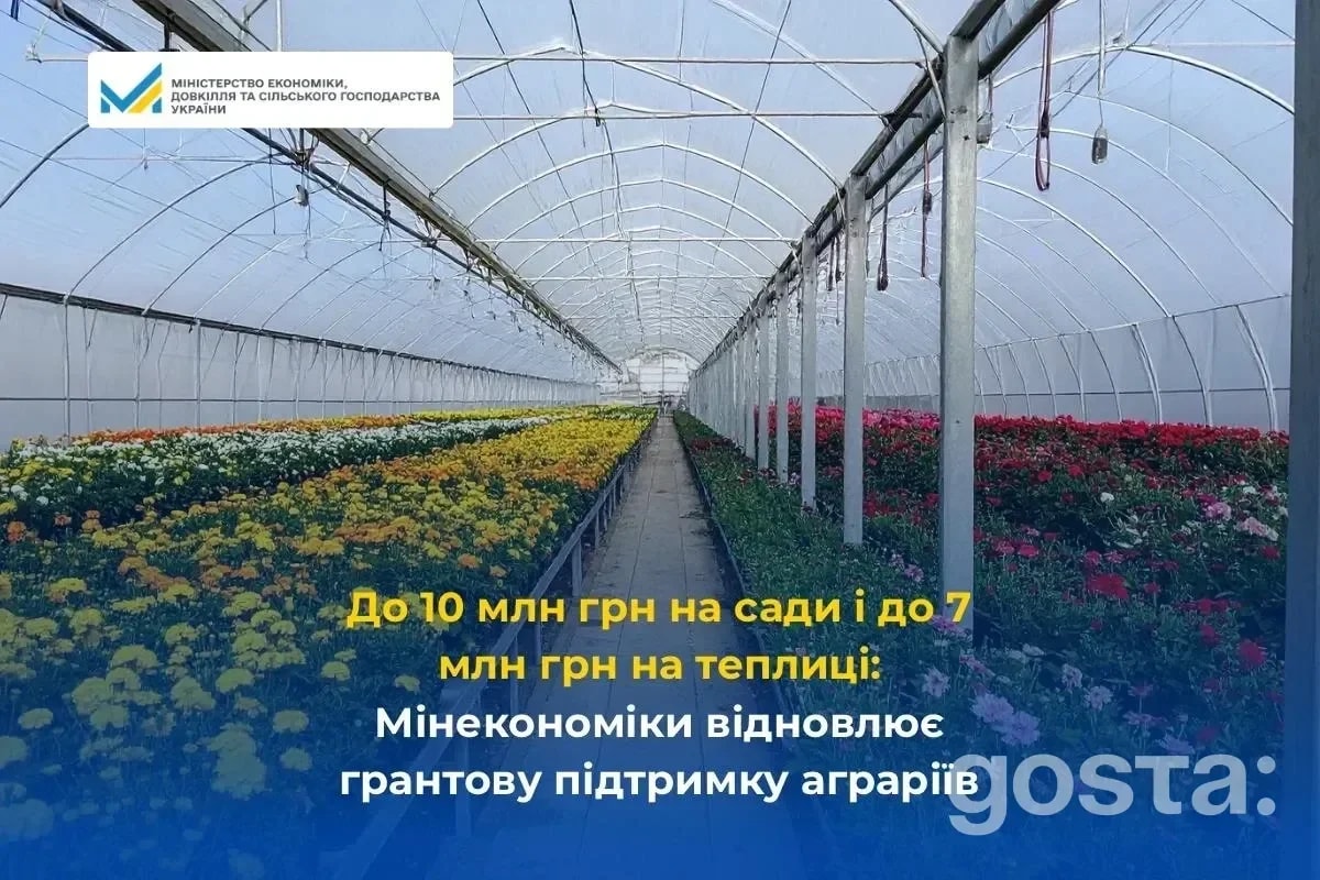 Повернення агрогрантів: як подати на підтримку садів і теплиць та хто отримає найбільше