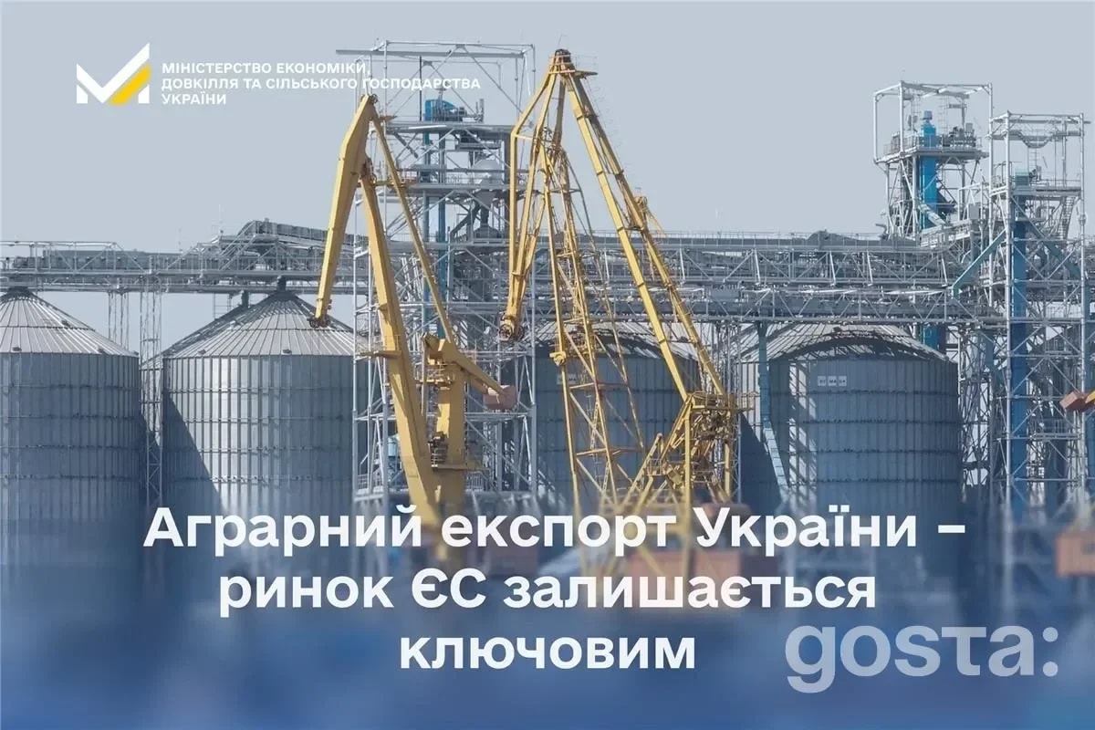 Агроекспорт України 2025: частка ЄС падає до 47,5%, натомість зростають ринки Азії та Африки – що змінилось після квот