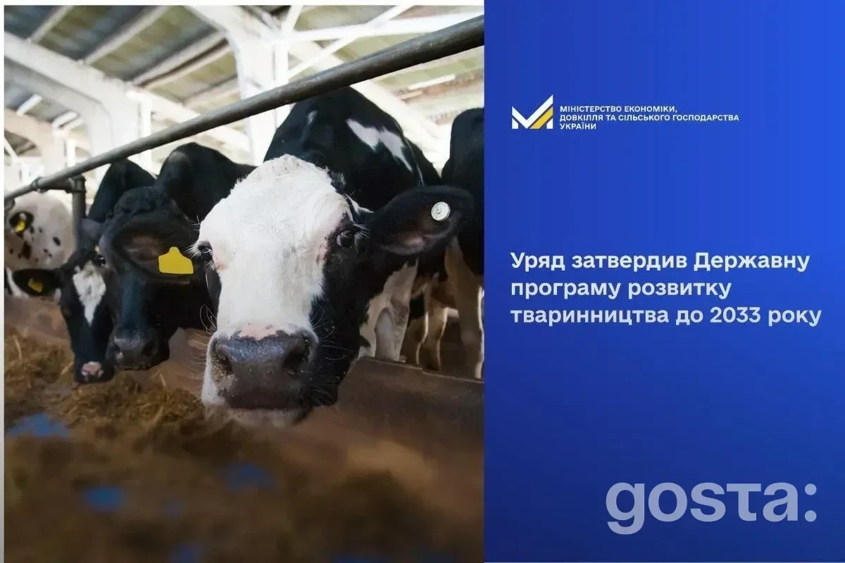 Україна запускає десятирічну програму для тваринництва – менше імпорту, більше поголів’я?
