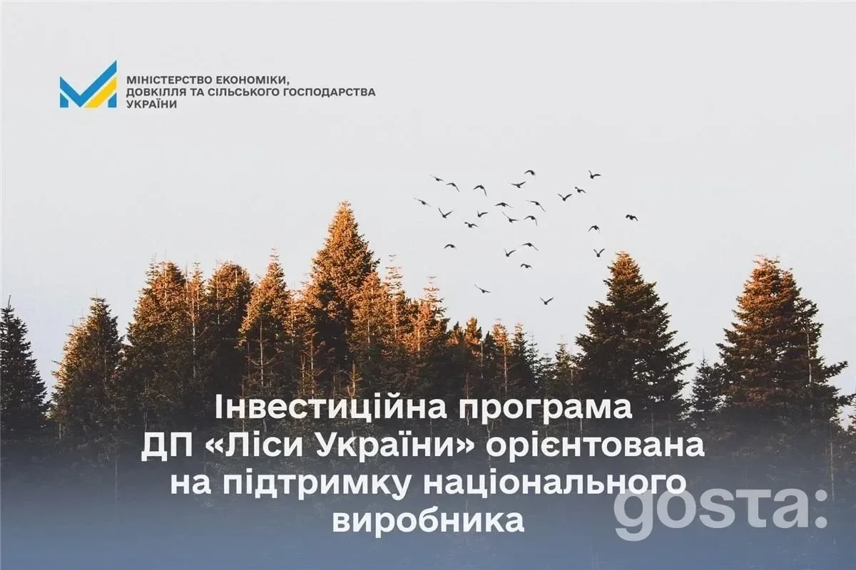 Інвестиційний ривок 2026: як ДП «Ліси України» спрямує мільярди в українську економіку