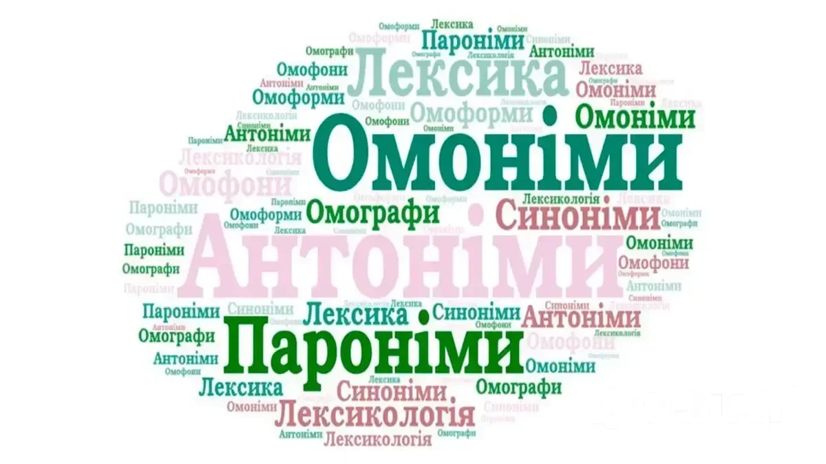 Омоніми та пароніми: в чому різниця