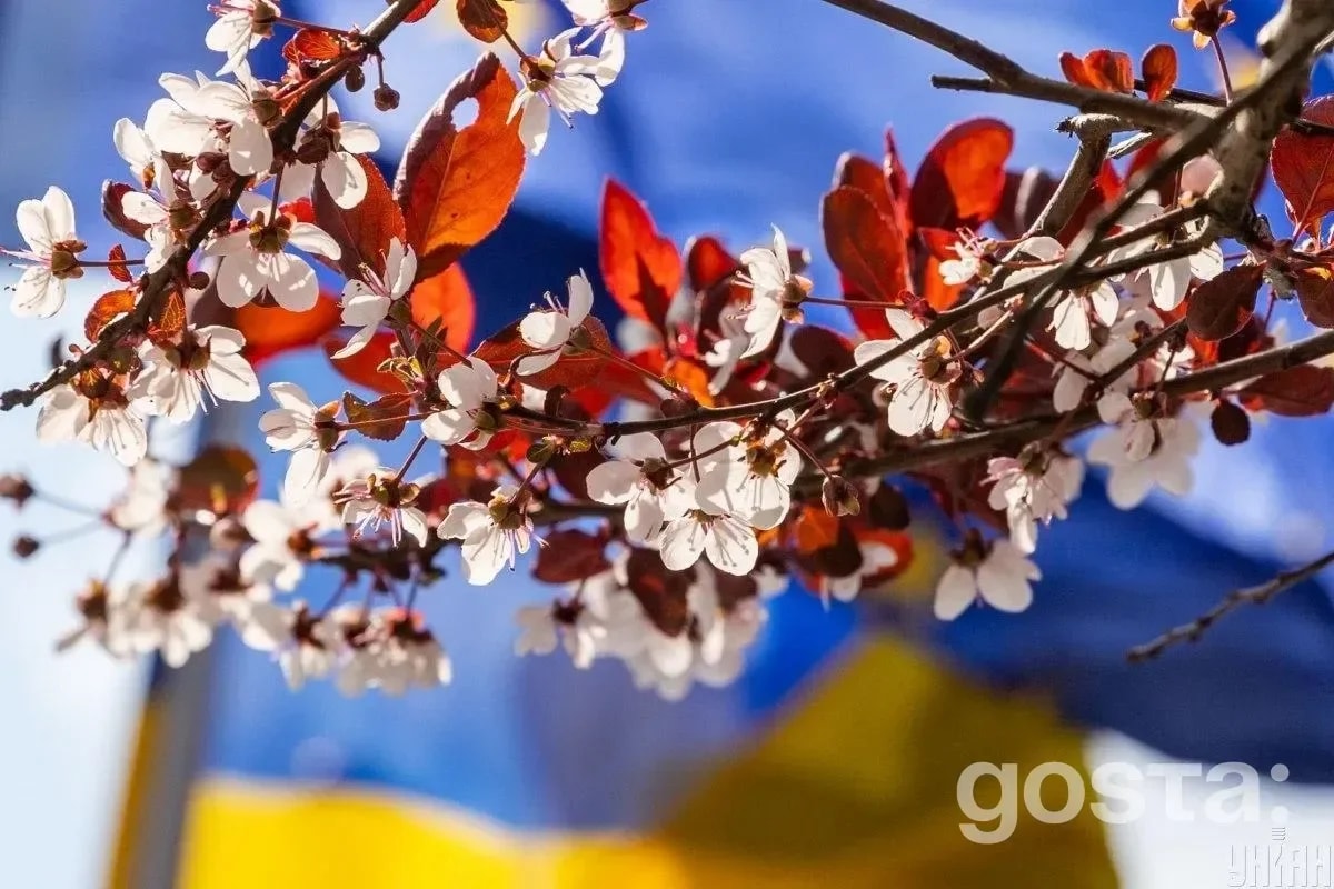 Іменини сьогодні в травні – День янгола за православним календарем
