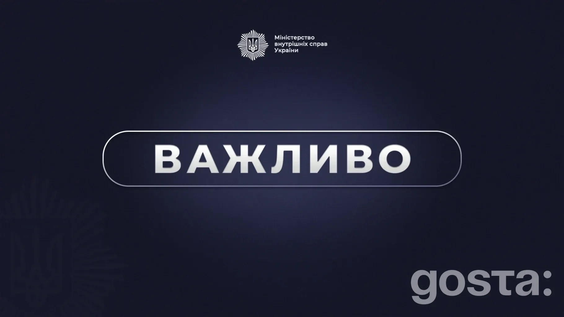 Візи для волонтерів на час воєнного стану можуть зникнути: Комітет рекомендує ухвалити № 13071
