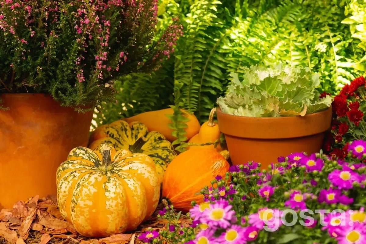 Lunar Planting Calendar for September 2025
