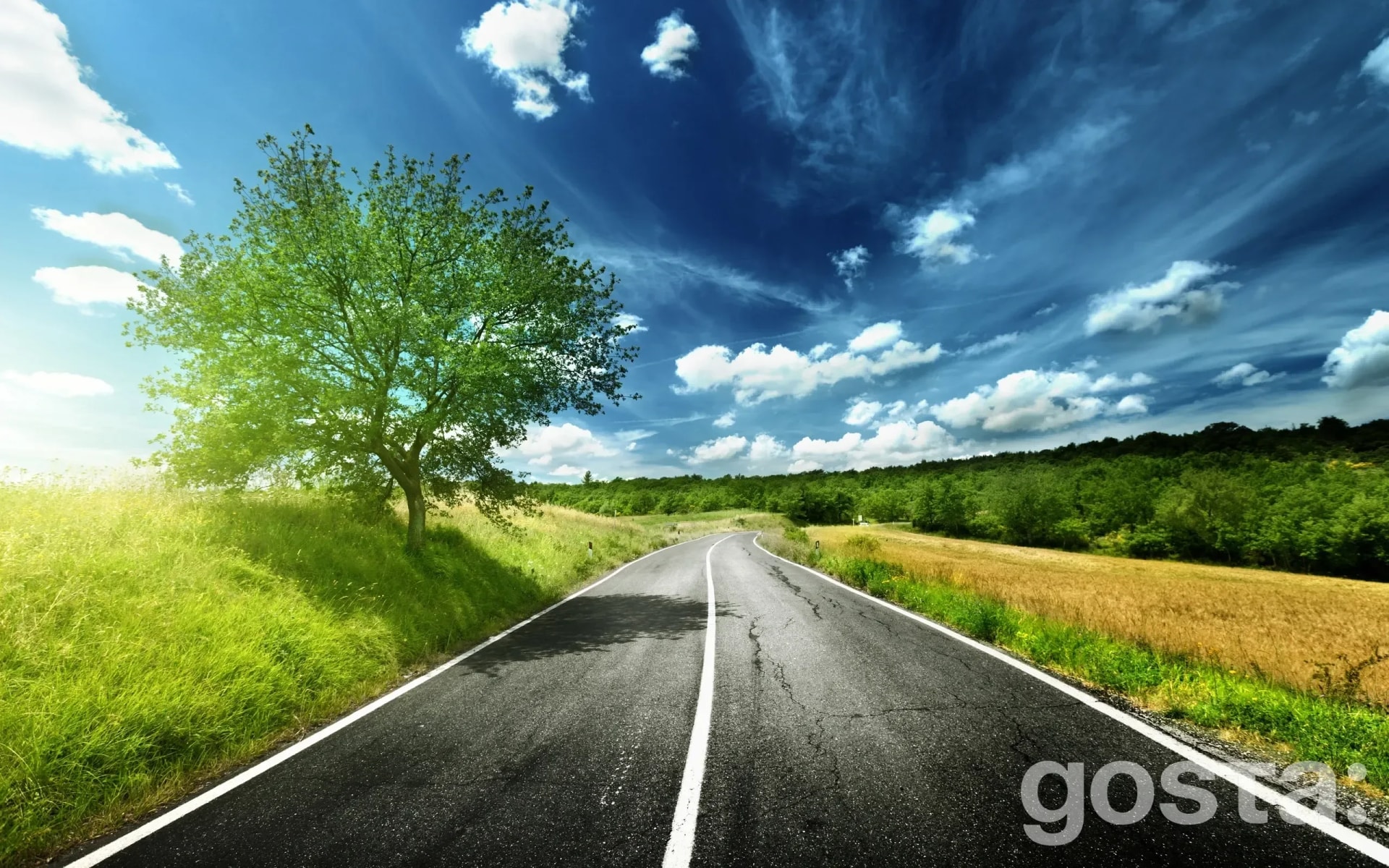 Prayer For The Road: Protection And Blessings For Travelers