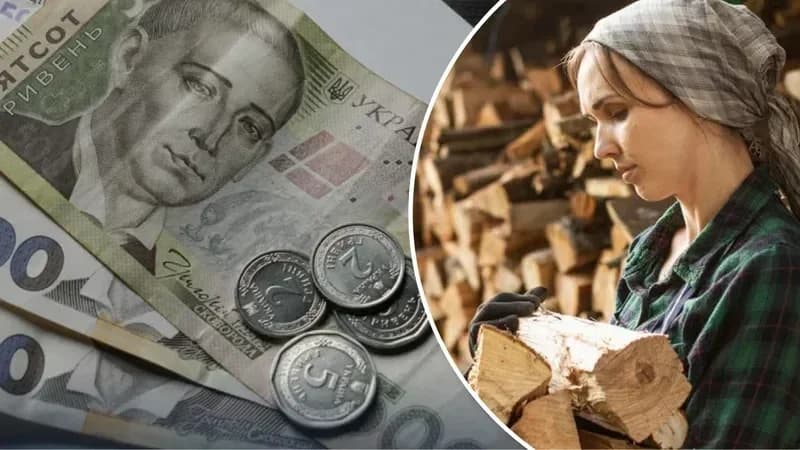 До 19 400 грн на опалення: хто може отримати допомогу на дрова