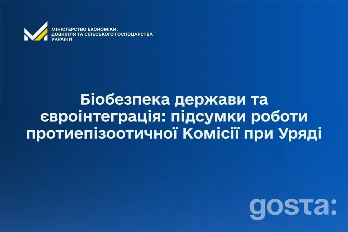 Епізоотична ситуація під контролем? 49,3 млн щеплень і мінус 37% спалахів АЧС: підсумки 12 лютого