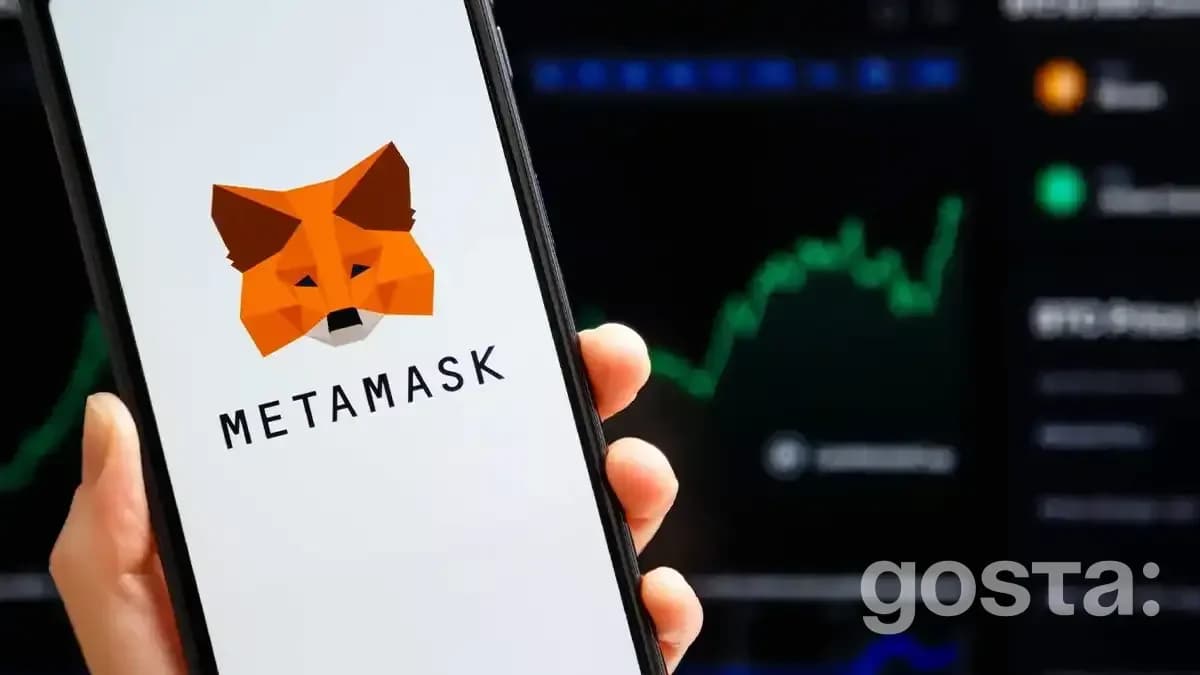 Best Hot Crypto Wallets