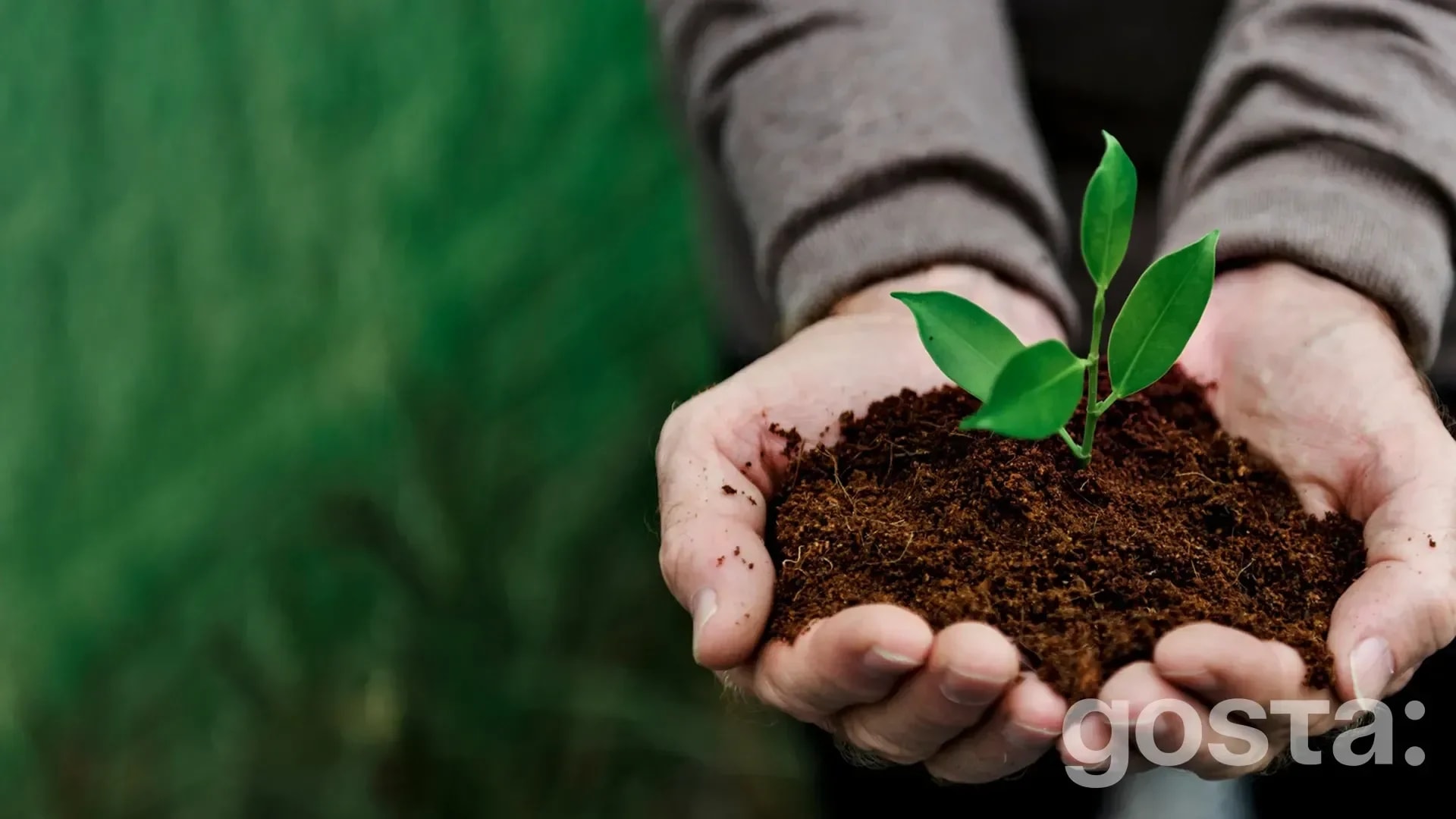 День Програми ООН з навколишнього середовища (UNEP Day)