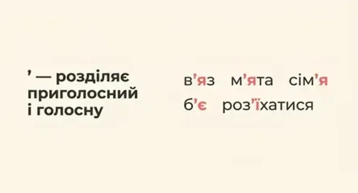Апостроф: приклади вживання — в'яз, м'ята, сім'я, б'є, роз'їхатися