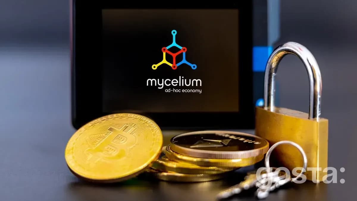 Mycelium Bitcoin Wallets