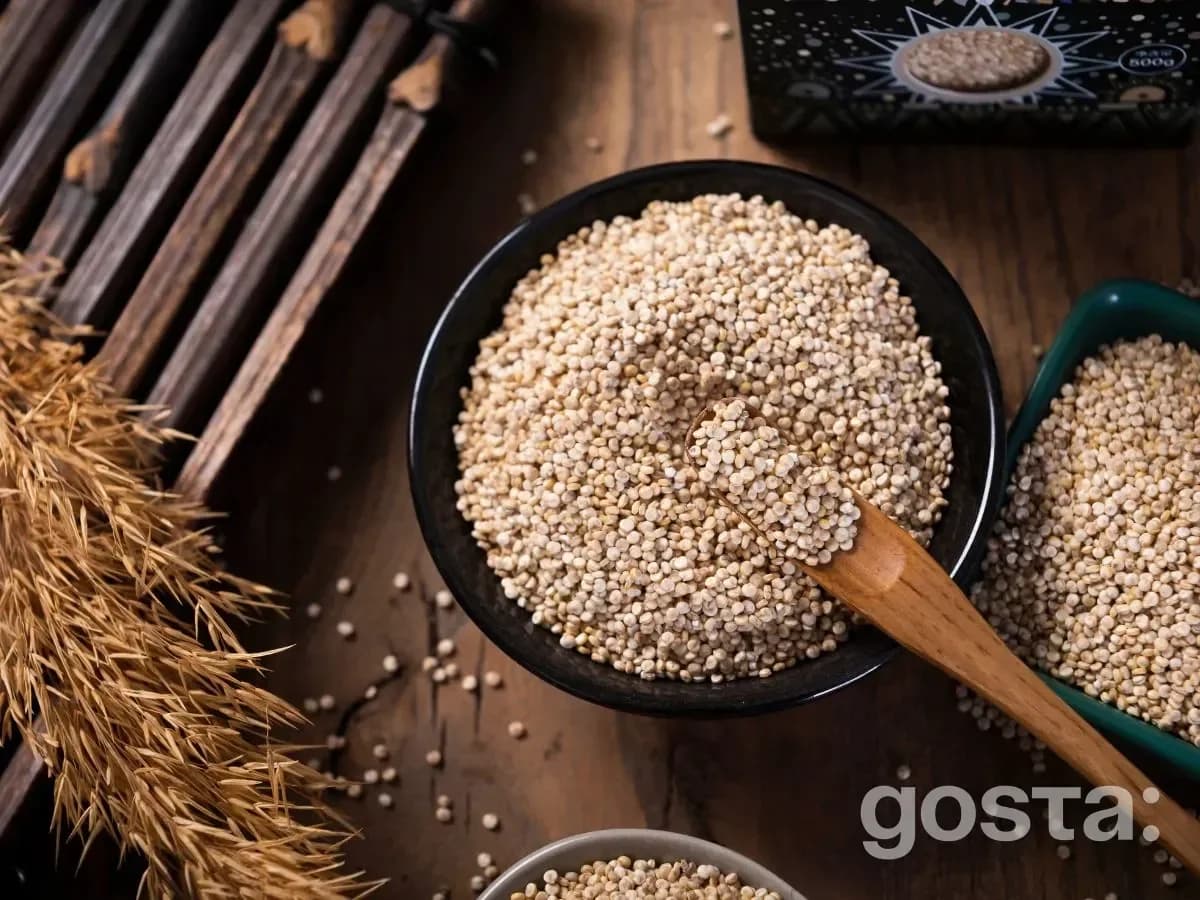 Plant-based protein foods