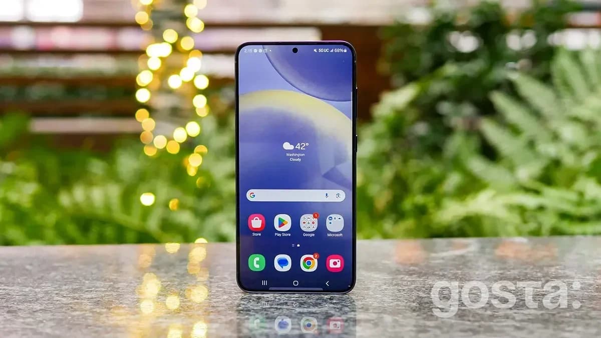 Samsung Galaxy S25 All Models