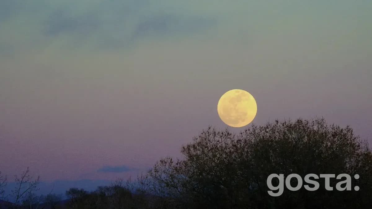 When Is the Next Full Moon – 2025