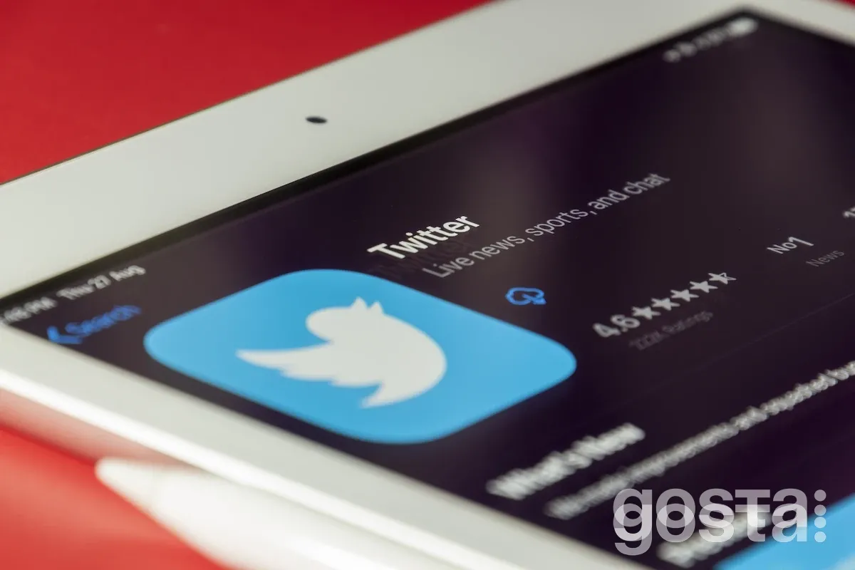 Ілон Маск і Твіттер: навіщо мільярдеру Твіттер?