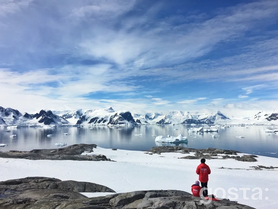 Цікаві факти про Антарктиду: що ви не знали про цю снігову пустелю
