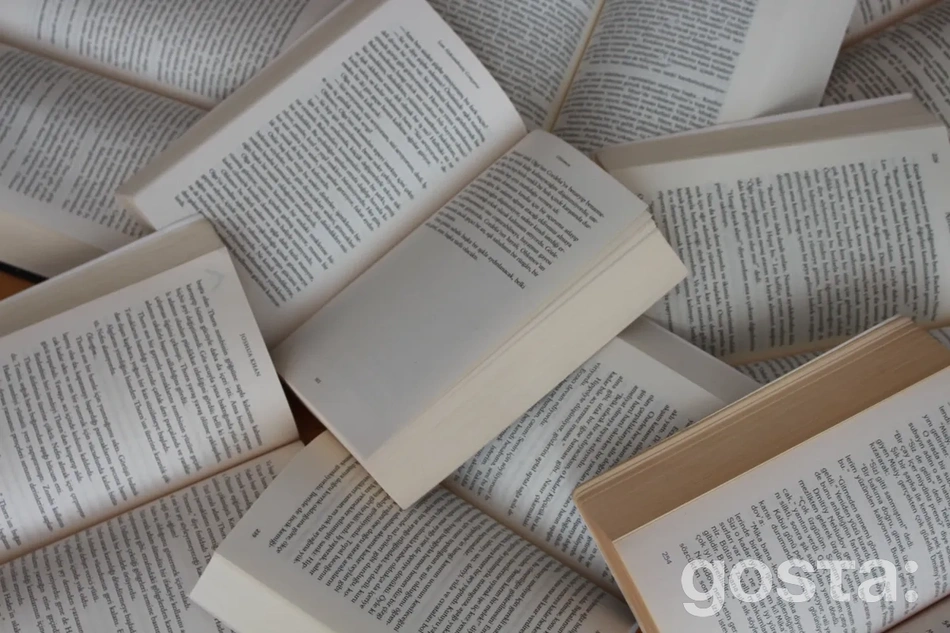 Що почитати українською: Кайдашева сім'я