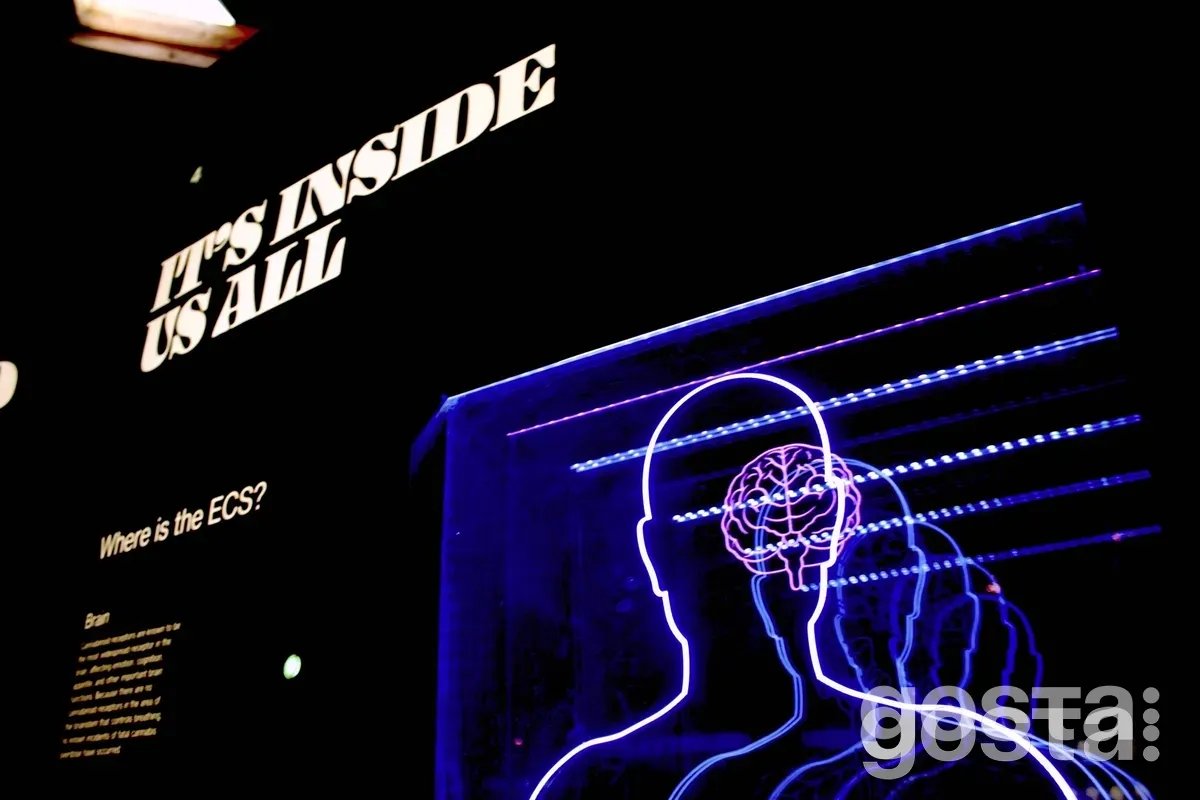 Інтроверт чи екстраверт: як зрозуміти хто ви?