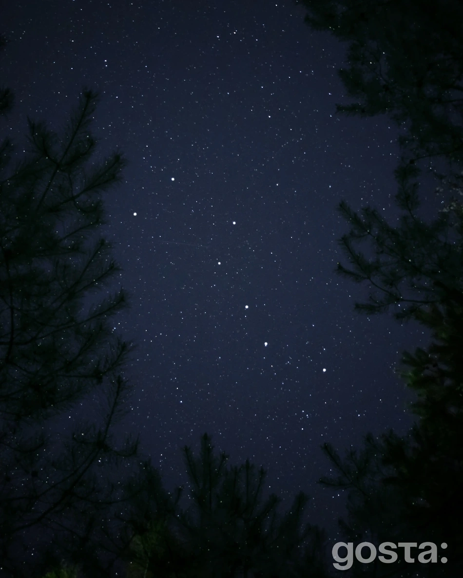 Найвідоміші сузір'я – Велика Ведмедиця