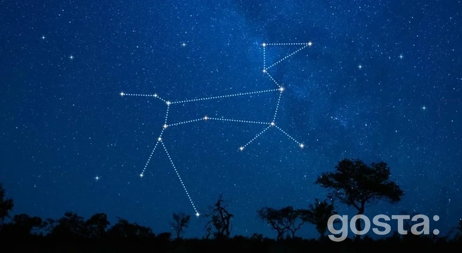 Найвідоміші сузір'я – Великий Пес