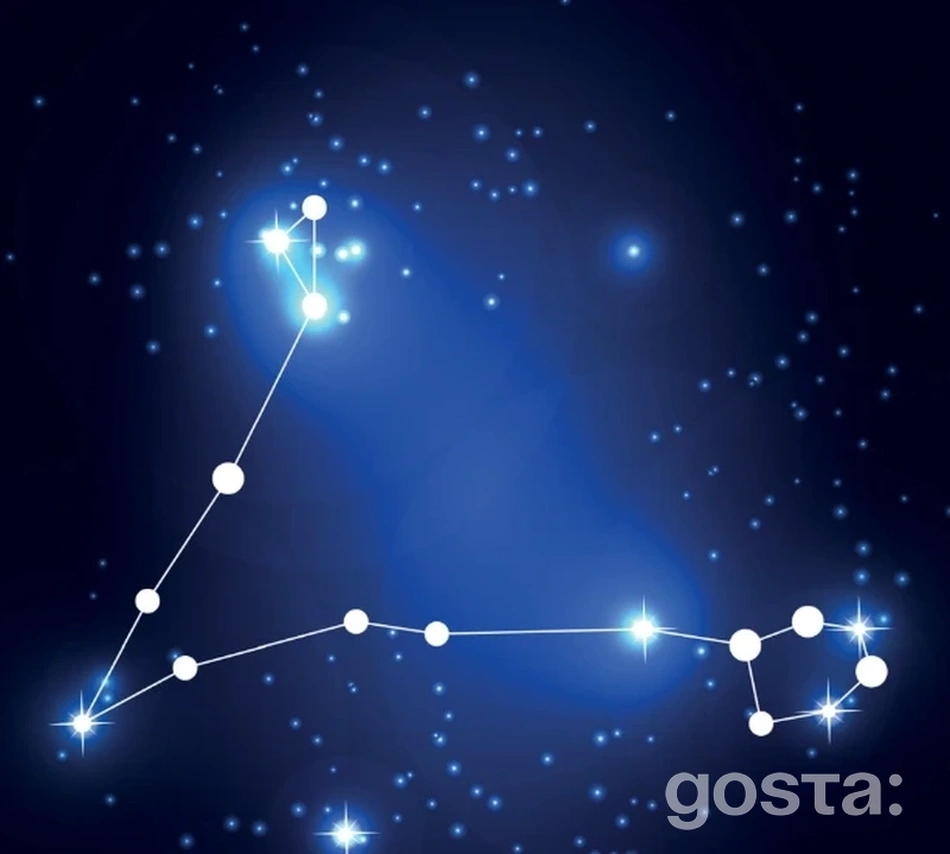 Найвідоміші сузір'я – Риби