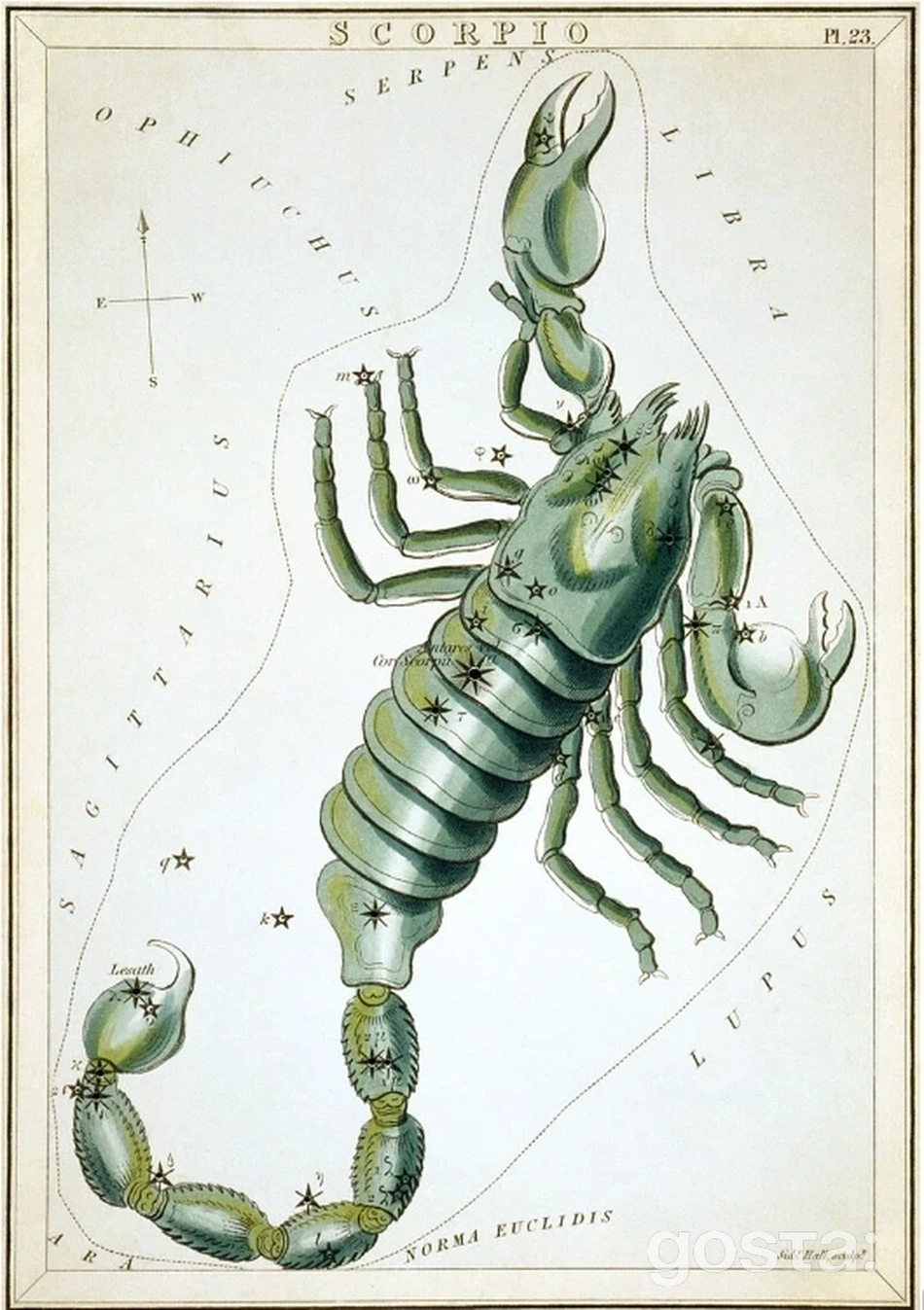 Найвідоміші сузір'я – Скорпіон