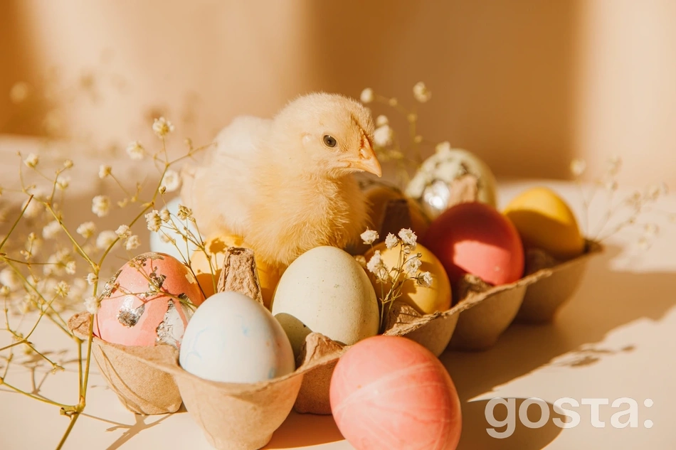 Курчатко та крашанки Великдень 2024 в Україні – традиції свята