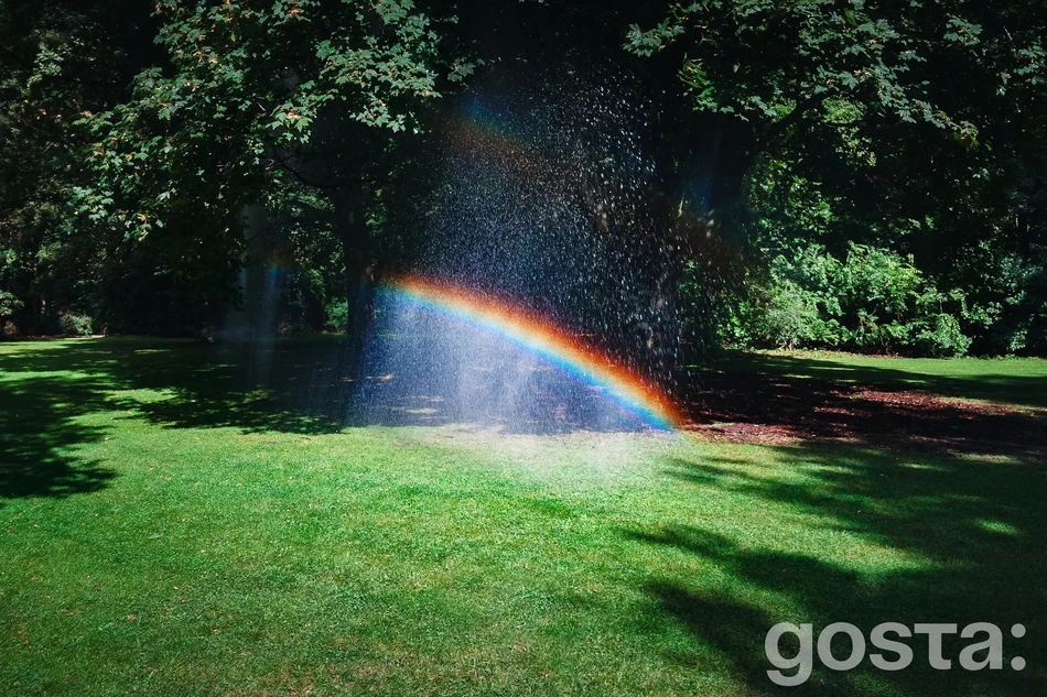 Дисперсія світла – приклади спостереження