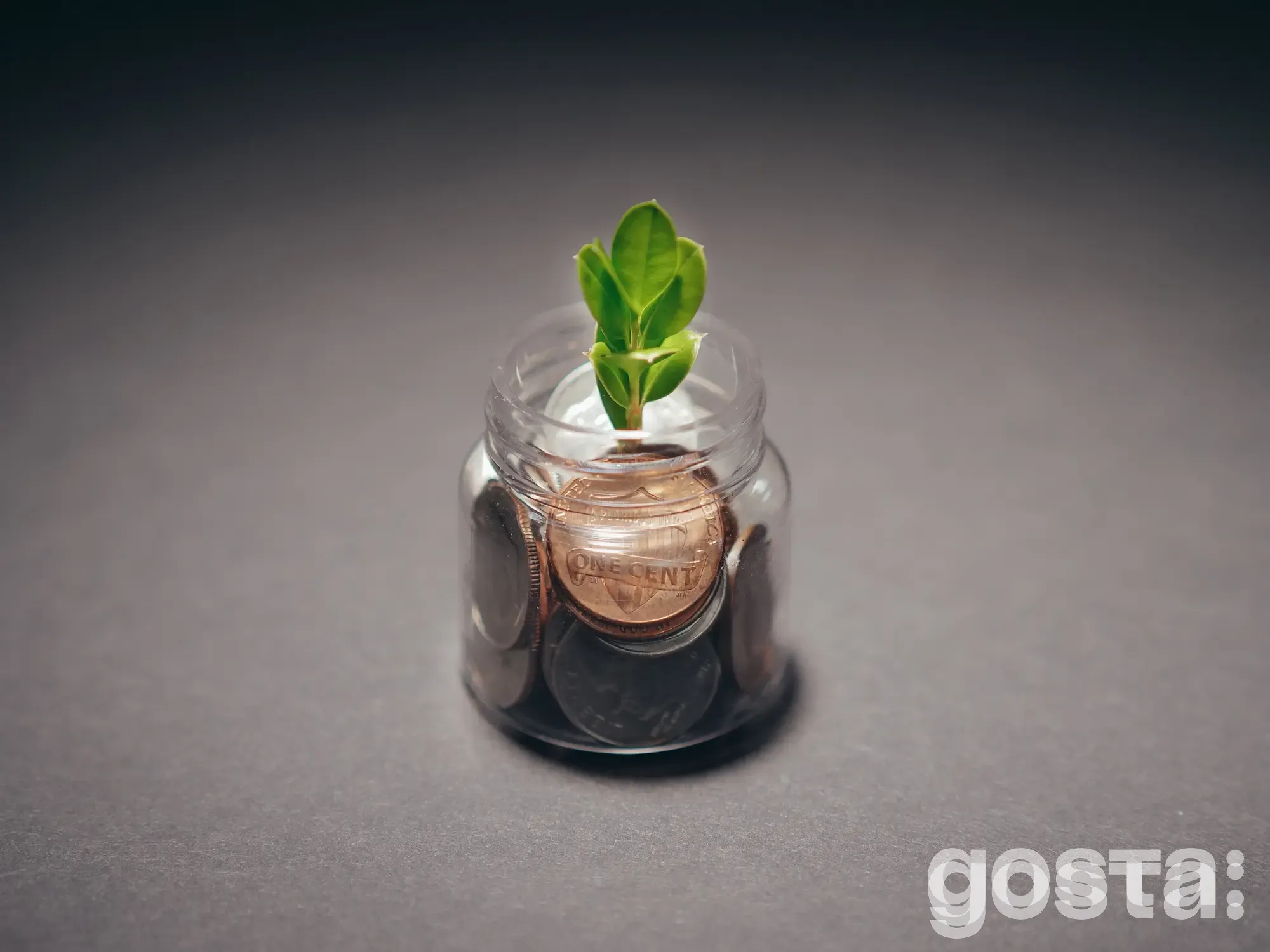 Гранти на бізнес 2024 в Україні – які є та як можна отримати