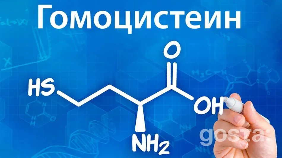 Що таке гомоцистеїн і чому він впливає на ваше серце та мозок