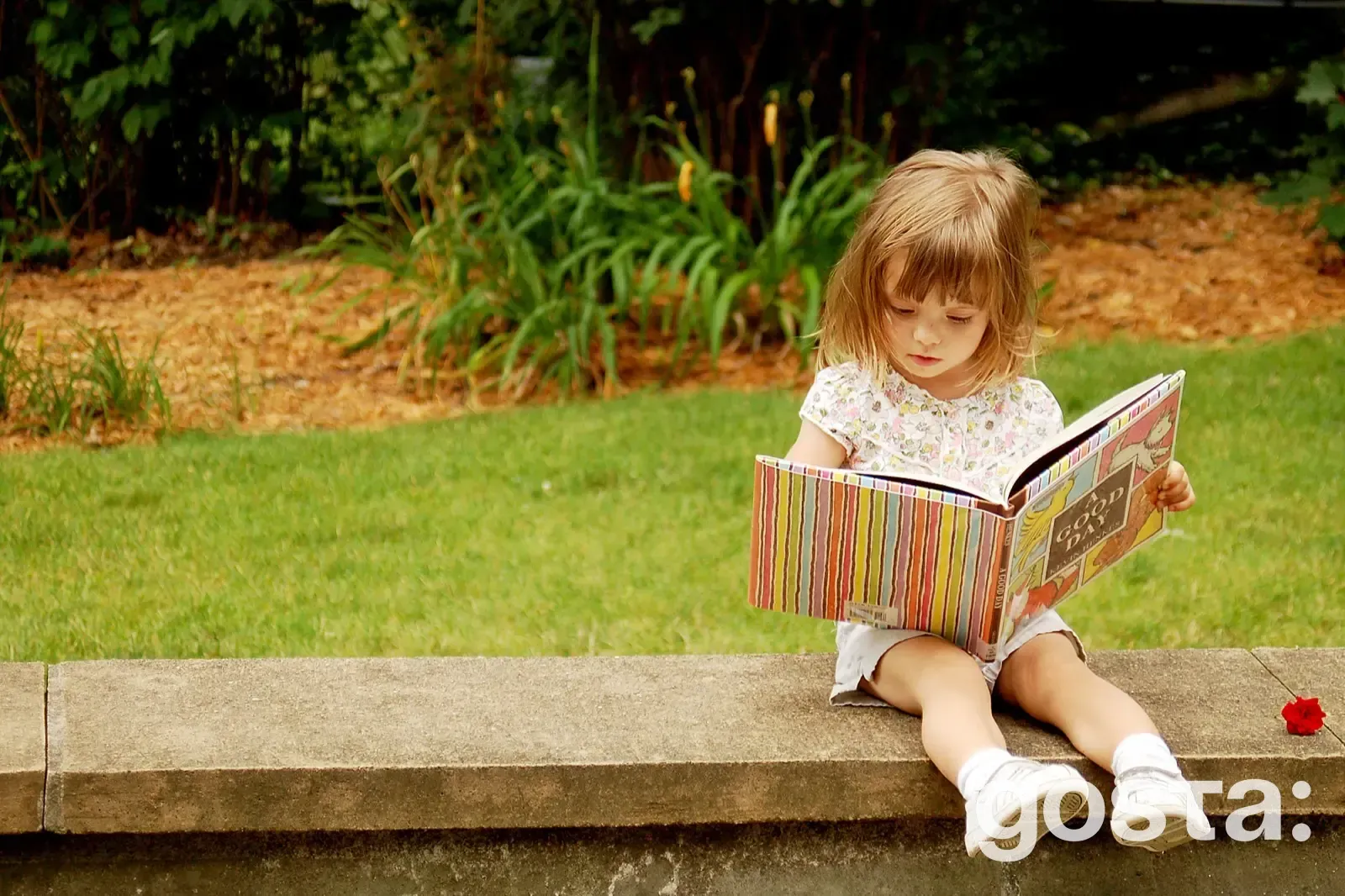 Добірка найкращих українських народних казок