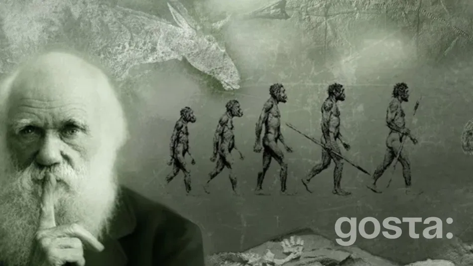 Які основи лежать в теорії Дарвіна про еволюцію?