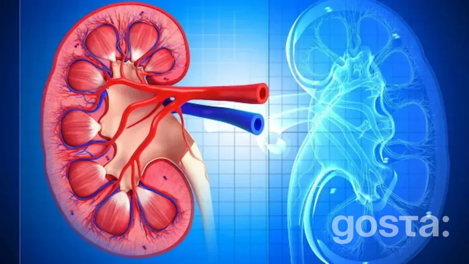 Яке клінічне значення креатиніну?