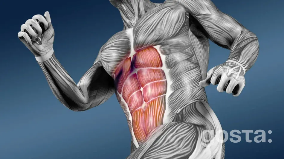 Які вправи для пресу краще робити чоловікам?