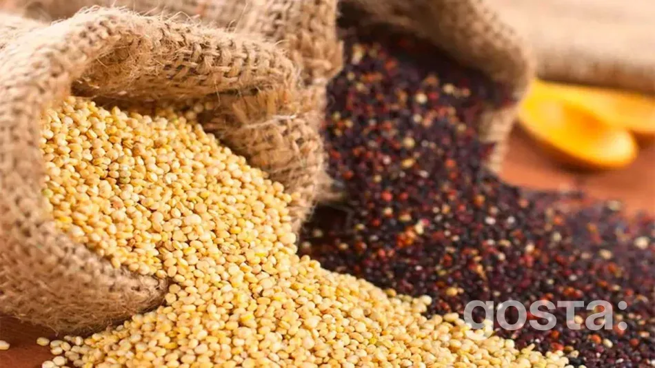 В чому користь кіноа?