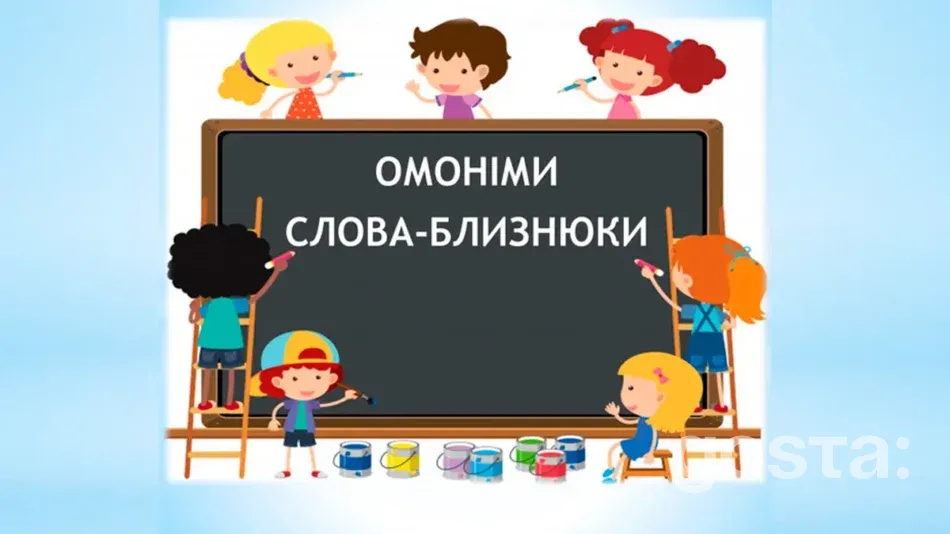 Омоніми та пароніми: Що таке омоніми?