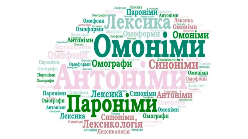 Омоніми та пароніми: в чому різниця?