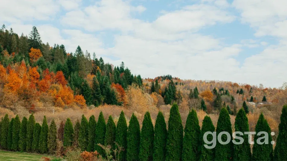 Карпати восени: Де відпочити