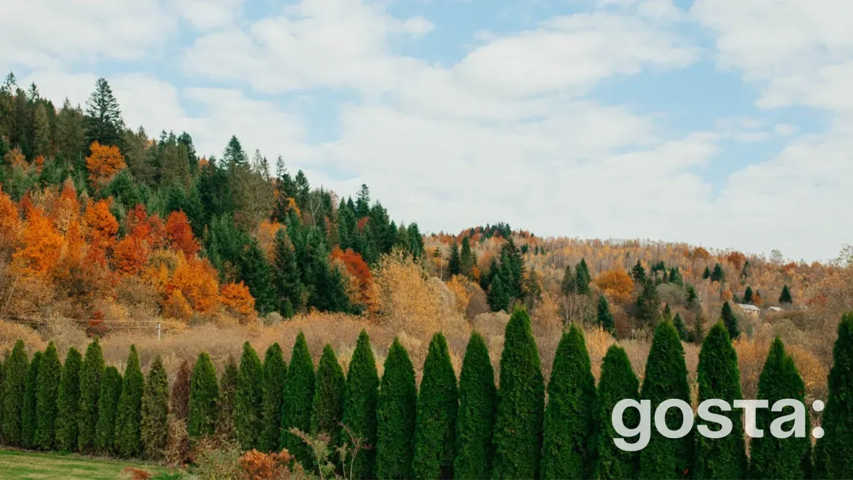 Карпати восени: Де відпочити