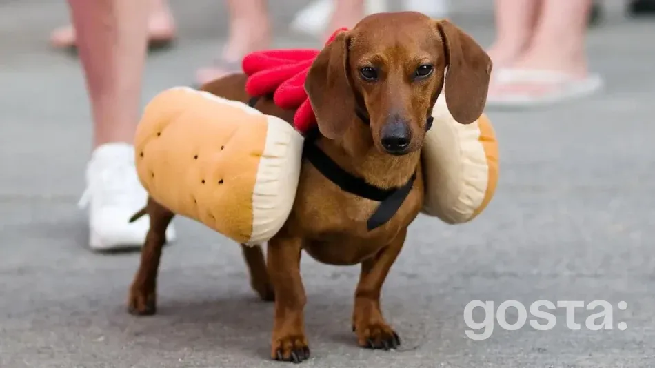 Яке сьогодні свято в світі 17 липня 2024 року