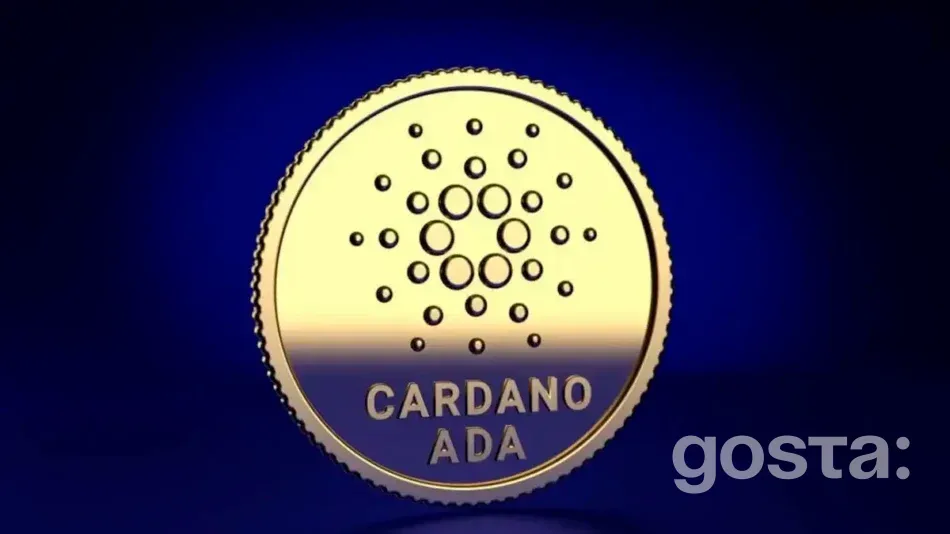 Хто створив Cardano?