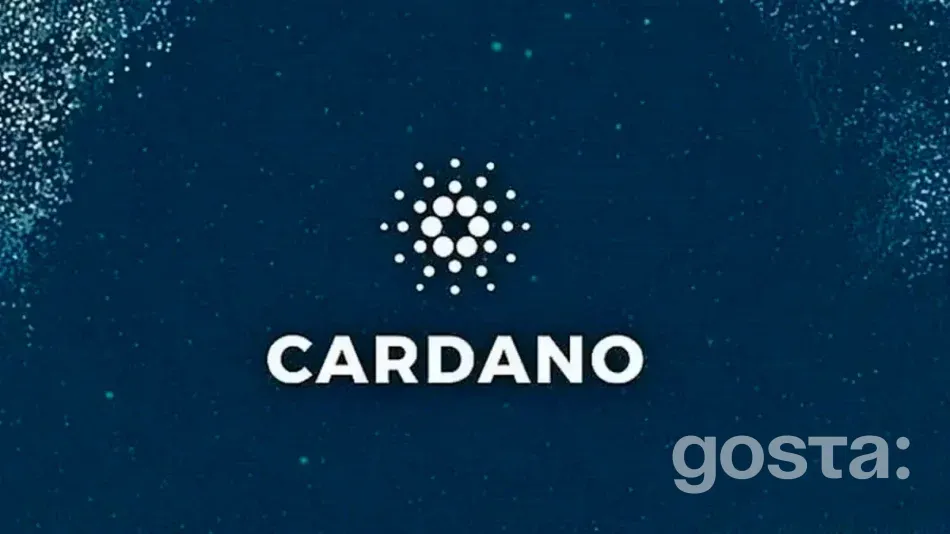 Переваги та недоліки Cardano