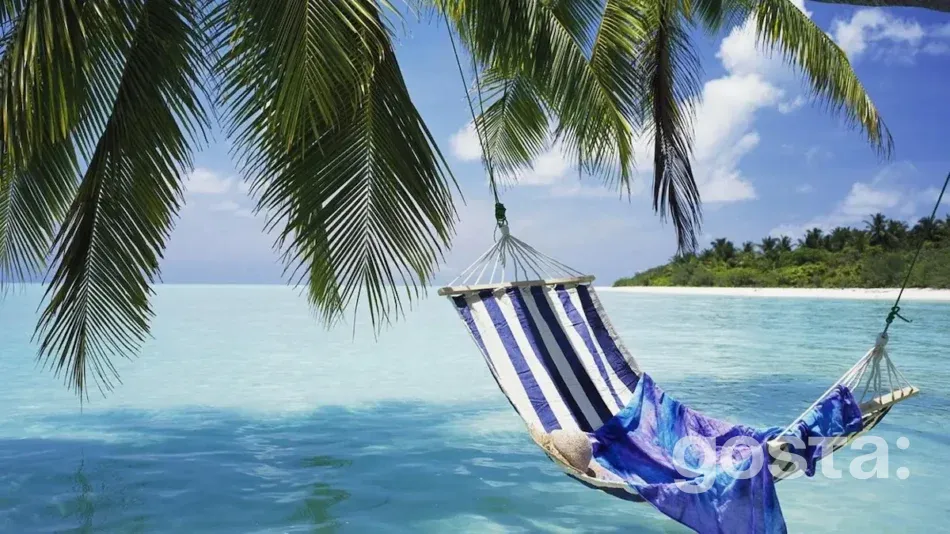 Яке сьогодні свято 22 липня 2024 року в світі – день гамака