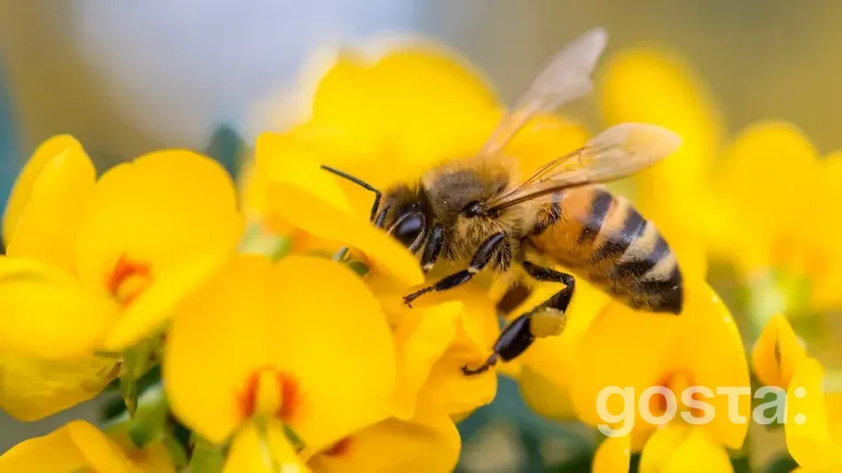 Яке сьогодні свято 17 серпня 2024 року