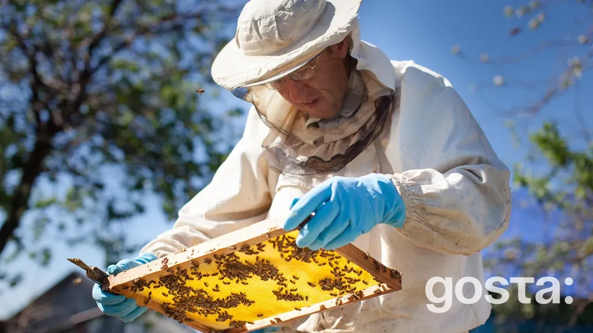 Яке сьогодні свято 19 серпня 2024 року в Україні