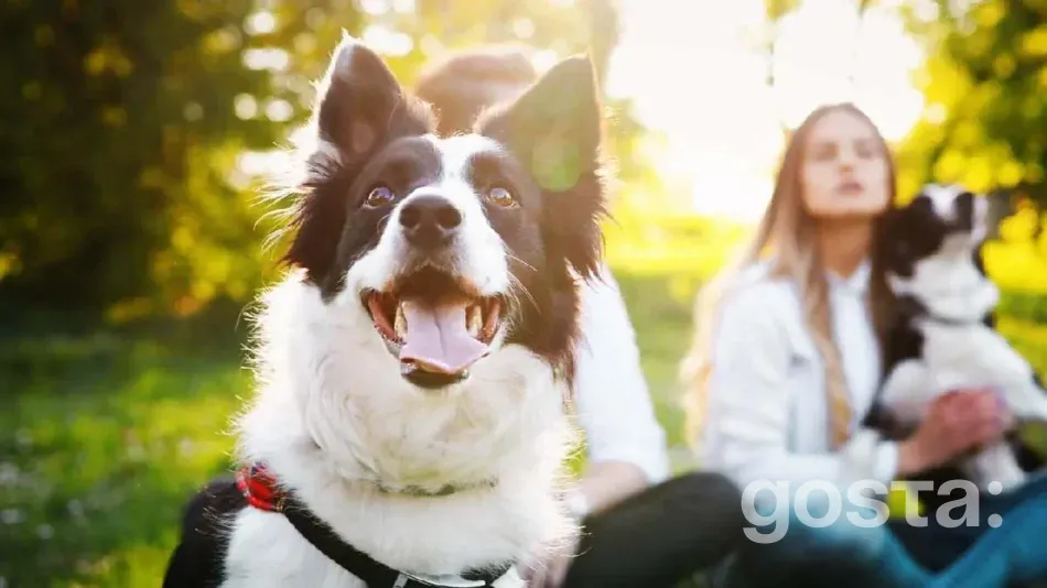 Яке сьогодні свято 26 серпня 2024 року в світі