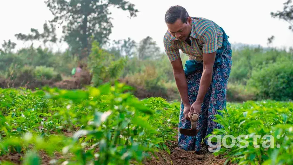 Яке сьогодні свято 6 серпня 2024 року в Україні